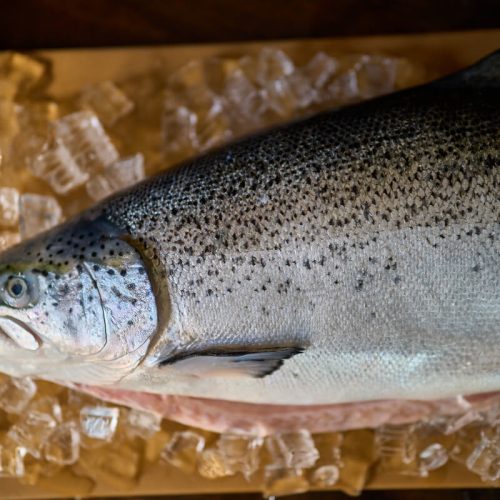 Yannis Malevitis photography - 53